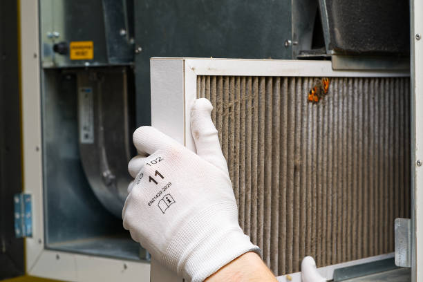 Best Air Duct Cleaning Near Me  in Zwolle, LA