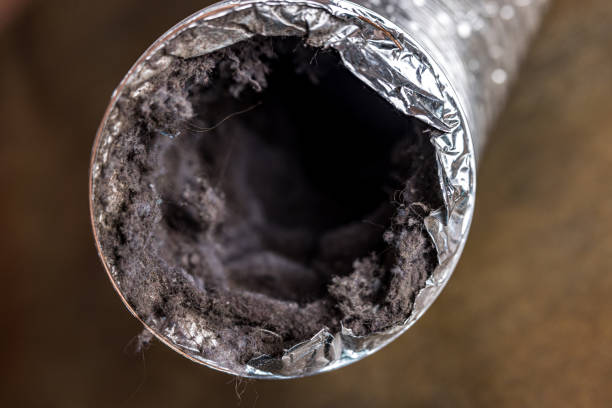 Best Emergency Air Duct Cleaning  in Zwolle, LA