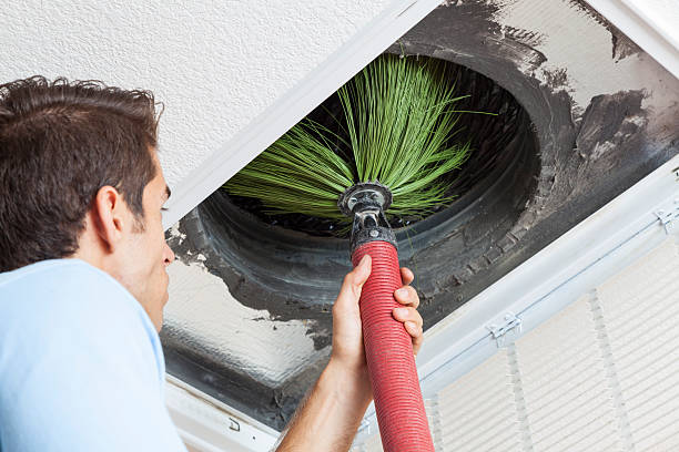 Best Local Air Duct Cleaning Services  in Zwolle, LA